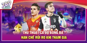 Thủ Thuật Cá Độ Bóng Đá – Hạn Chế Rủi Ro Khi Tham Gia