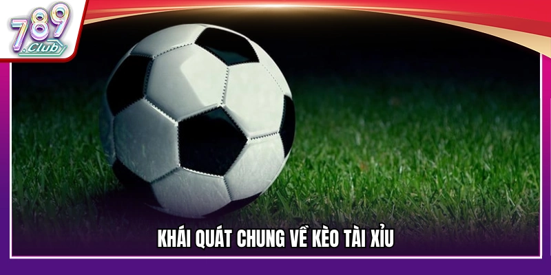 Giới thiệu tổng thể về kèo tài xỉu