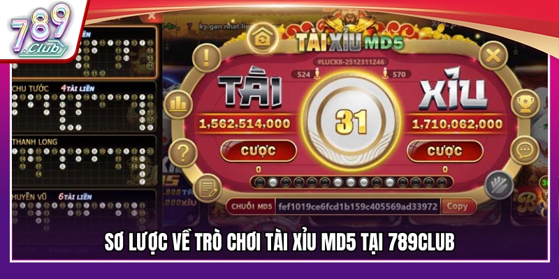 Tổng quan về trò chơi tài xỉu MD5 trên nền tảng 789Club